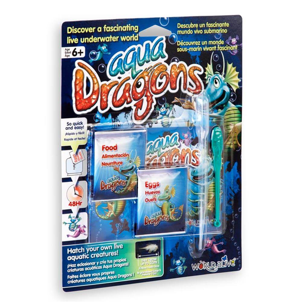 Brainstorm Aqua Dragons